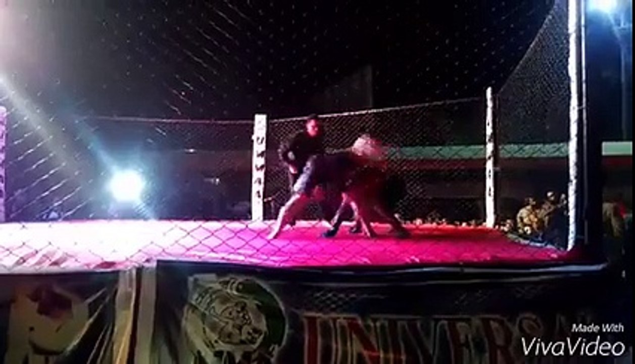 Alamgeer Prince Khan VCL Showdown 2