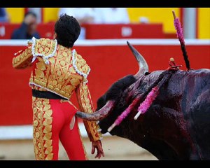 Most interesting things in the world - YouTube