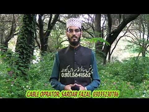 HAFIZ WALEED AHMAD QADRI NAAT