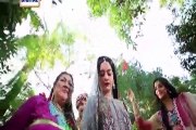 Shehzada Saleem Episode 42 on Ary Digital