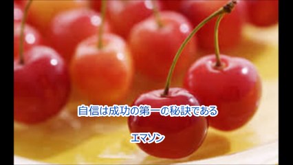 長谷川桜子（慣らし保育アドバイザー）～子どもに読み聞かせたい言葉「エマソン」