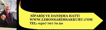 Limon Suyu Sarımsak Mucizesi