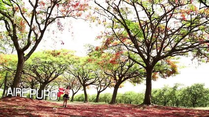 Como mejorar la calidad del sueño - Salud con Esperanza - Iglesia Adventista