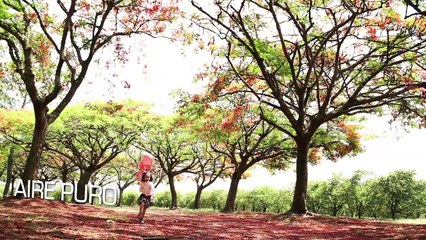 Hilo dental - Salud con Esperanza - Iglesia Adventista