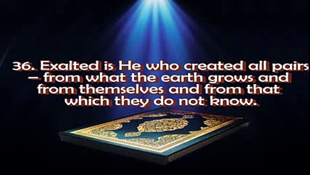 Surah Yasin(full)-shaikh Mishary Rashid Al Afasy