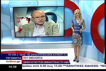 Σμήνος κουνουπιών στη Λαμία. Τι λένε οι ειδικοί
