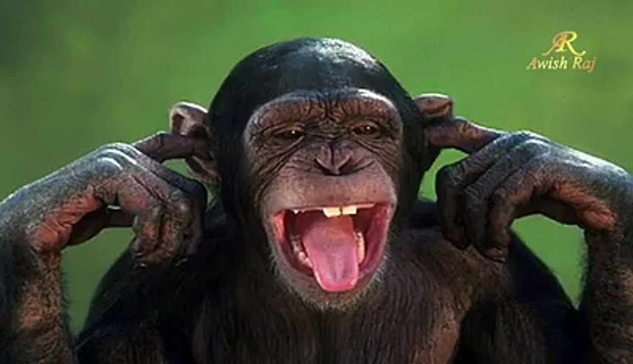 Funny  voice Clip Main Insaan Hoon............!