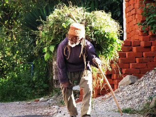 Bary Bary Mahlaat Or Lambi Lambi Gariyon Walon K Naam .....