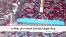 Steam Master Carpet Cleaning Services