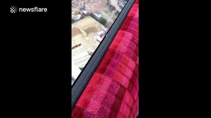 Mystery 'object' spotted in River Thames sparks speculation