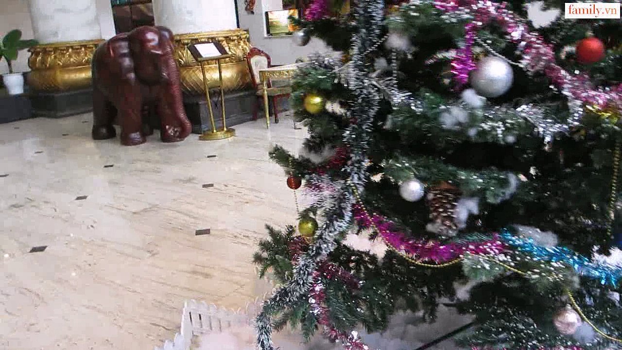 Vlog 221 Cún và chị đi chơi noel ( family.vn )