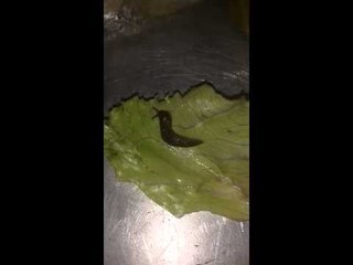 Reos de La Joyita muestran lo que encontraron en su comida