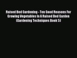 Read Raised Bed Gardening - Ten Good Reasons For Growing Vegetables In A Raised Bed Garden