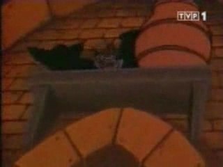 Gumisie - Noc Chimery