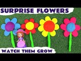 Giant Play Doh Surprise Egg Flowers Sofia The First - Shopkins Frozen Hello Kitty Surprise Toys