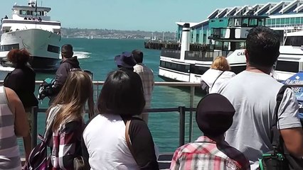 Gemi turistlerin bulunduğu rıhtıma böyle çarptı