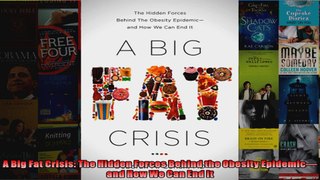 A Big Fat Crisis The Hidden Forces Behind the Obesity Epidemicand How We Can End It