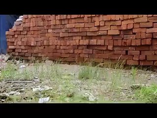 میرے آرائیں دوستوں کے بھرپور اسرار پر ان کی خوشی کیلئے ویڈیو پیش خدمت ہے.