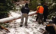 Pushing a Tree Down a Cliff Goes Wrong