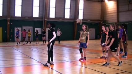 detection N1 specific fev 2016