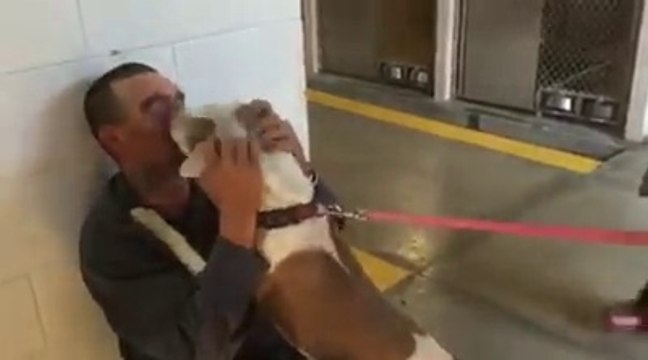 Hanno rapito il suo cane 7 mesi fa, ma quando entra nel canile succede questo...