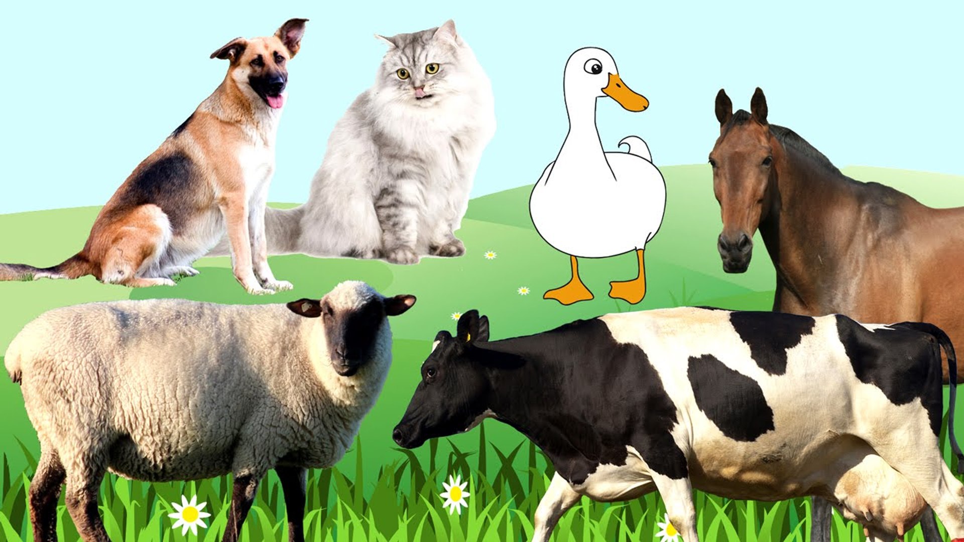 ⁣Мультики для самых маленьких. Домашние животные  папы, мамы и малыши. Животные для детей.