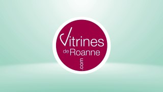 VITRINES DE ROANNE - Opération 20%