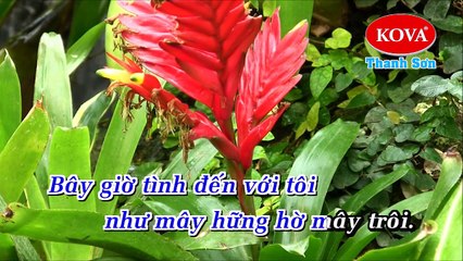 Liên Khúc Nhớ Người Yêu - Trong Tầm Mắt Đời - Ngọc Sơn