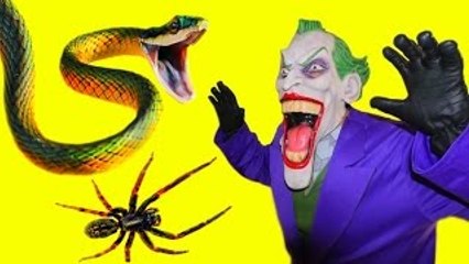 SPIDERMAN & FROZEN ELSA vs Mad Joker & Maleficent! Fun with Darts! Superhero Movie in Real Life