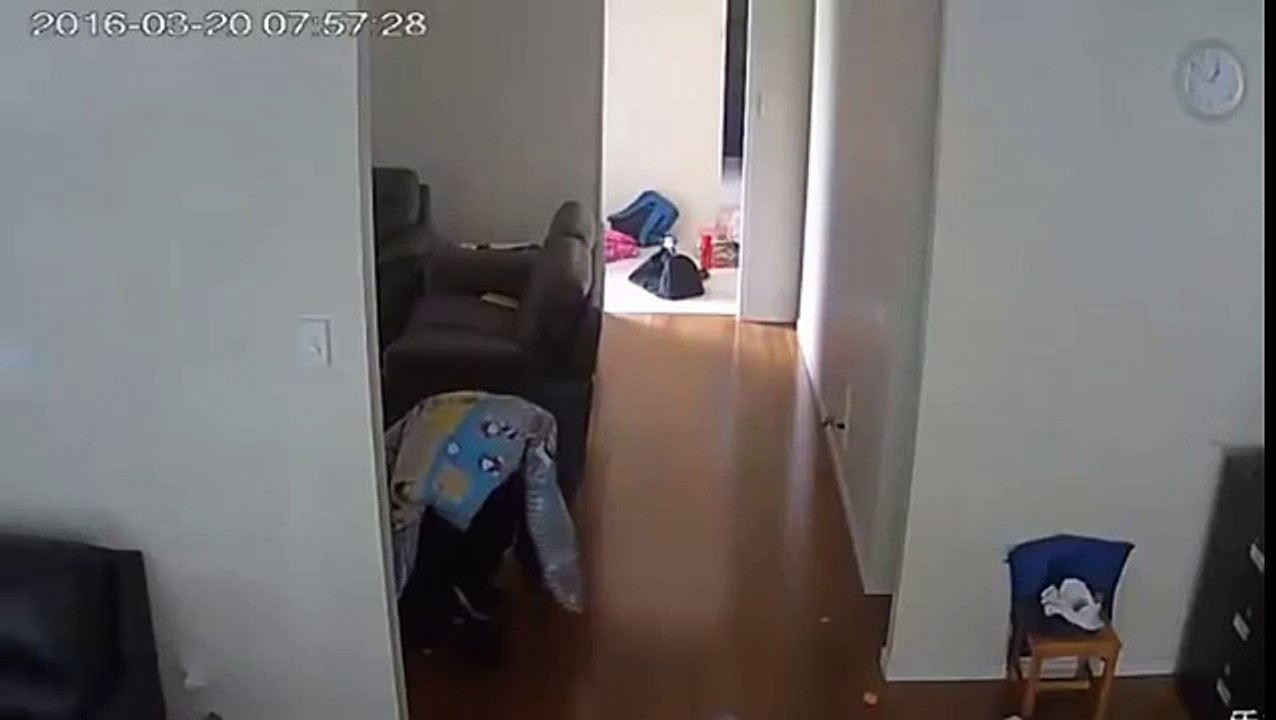 Un cambrioleur évite une caméra de surveillance en se cachant sous une couette