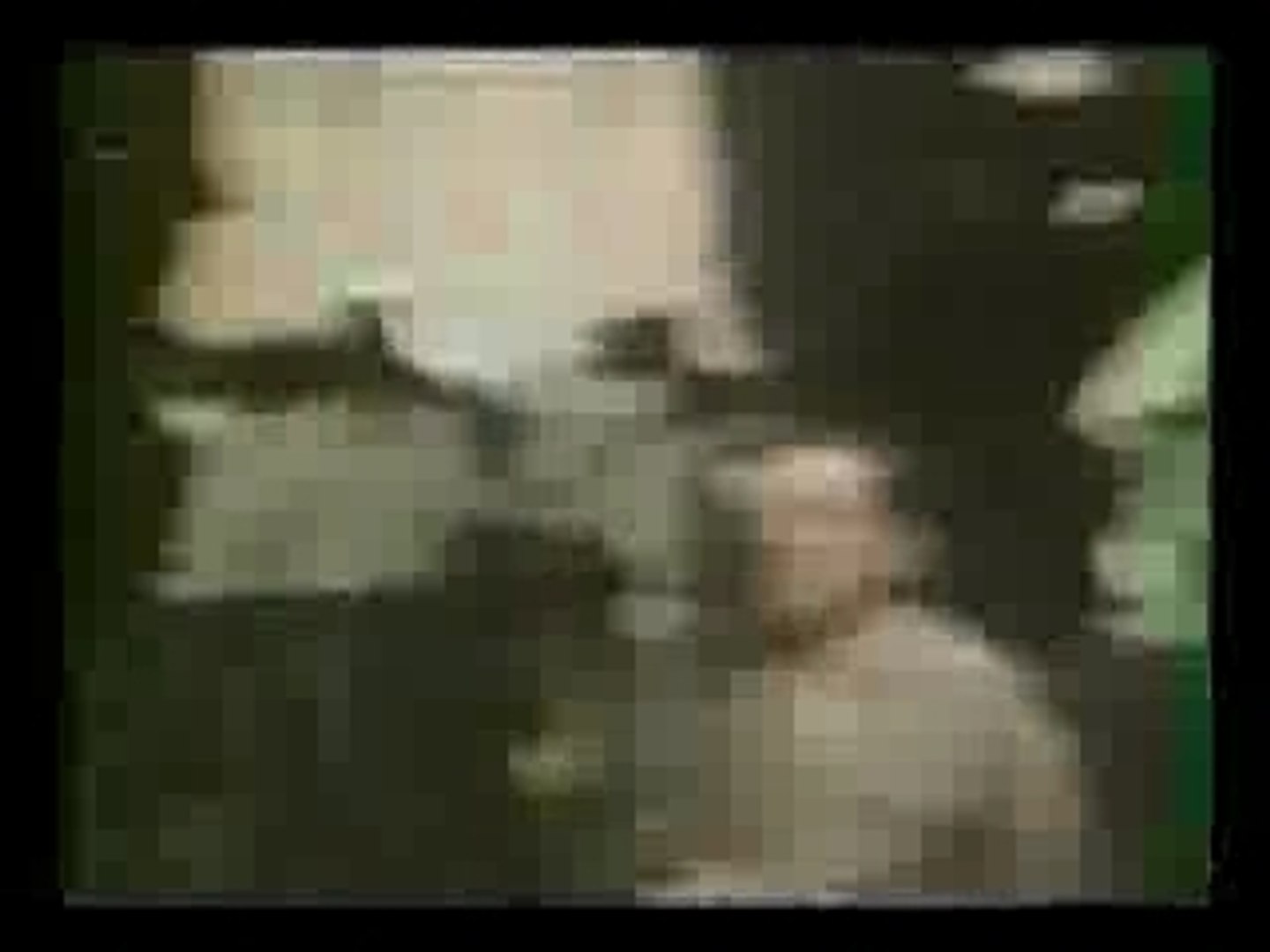 Bérurier Noir - Porcherie Clip - video Dailymotion