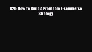 READ book B2b: How To Build A Profitable E-commerce Strategy READ ONLINE