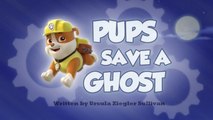 Щенки спасают призрака || Pups Save a Ghost