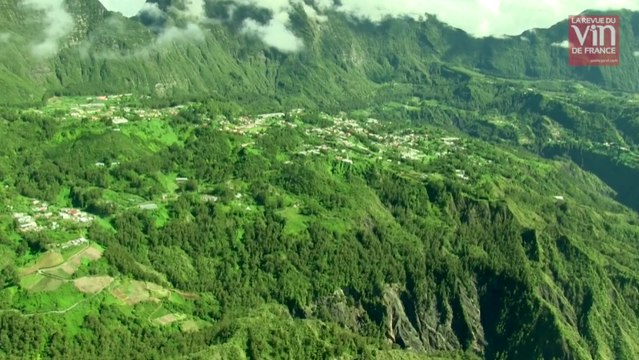 Le charme des vins de l'Île de La Réunion, fantasme ou réalité ?
