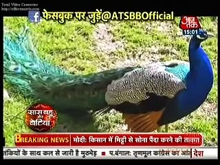 Saas Bahu aur Saazish - Swaragini today episode