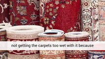 Carpet Cleaning Tips So You Can Get Ahead - Carpet Cleaning Tips