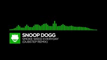 [Moombah/Dubstep] Snoop Dogg Smoke Weed Everyday (Dubstep Remix)