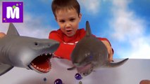 Акула растущая в воде и игрушечная акула Челюсти выращивание в воде на канале Мистер Макс Toy Shark Jaws 2016