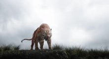 The Jungle Book “Live the Legend“ TV Spot HD