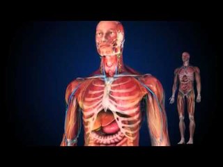 Marshimi i frikshëm i diabetit - Top Channel Albania - News - Lajme