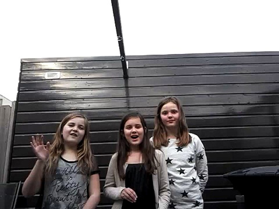 BEERPONG CHALLENGE DEEL1