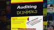 Auditing For Dummies