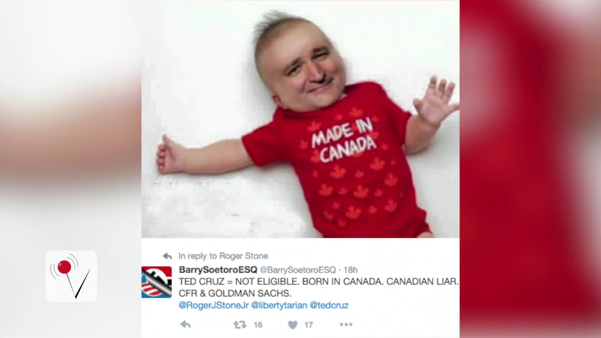 ⁣Canadian Born Ted Cruz Uses 'Born in America' Song