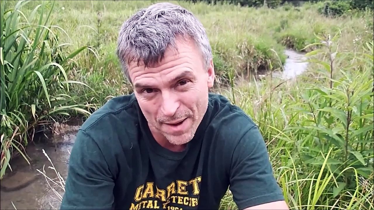 Comment trouver et capturer une tortue serpentine cachée dans la vase !