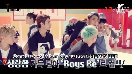 [VIETSUB][13carrots]The Qmentary SEVENTEEN Mansae