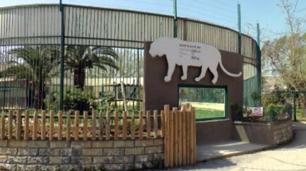 Kaplan Saldırısından Sonra Yaşananlar Güvenlik Kamerasında