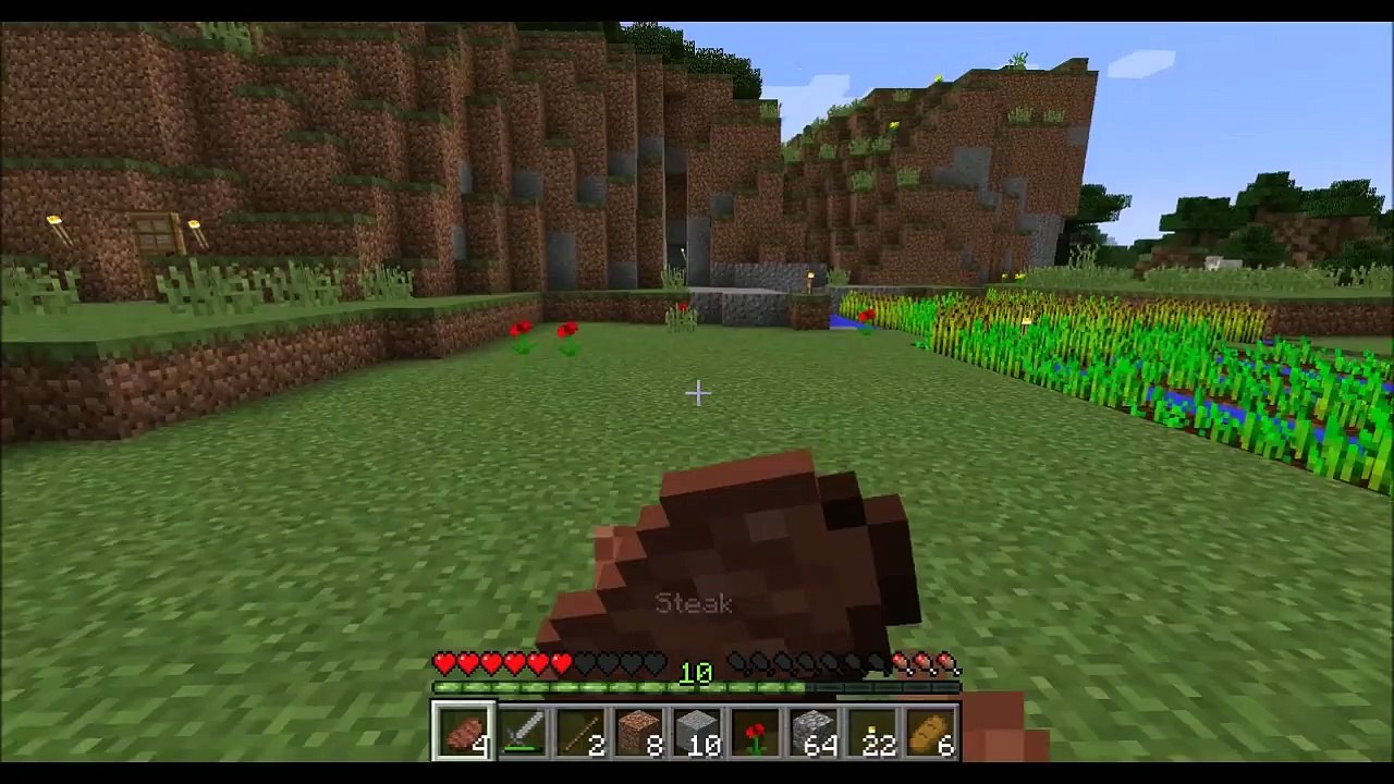 minecraft Lets's Play #5 New Build