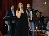 Ljilja Bela i orkestar Nikole Zarica - Svratila sam samo da te vidim - live - HD Music