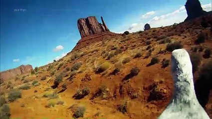 Sur les ailes des oiseaux (doc 2016)