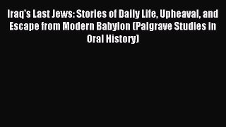 Read Iraq's Last Jews: Stories of Daily Life Upheaval and Escape from Modern Babylon (Palgrave
